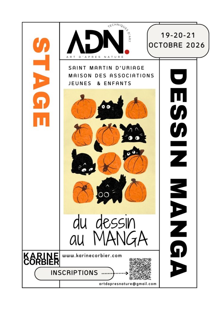 stage du dessin au manga pour les vacances d'octobre 2026