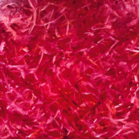 Monochrome roses - Peinture à l’huile sur toile