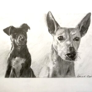 Portrait au crayon de deux chiens très réalistes et vivants
