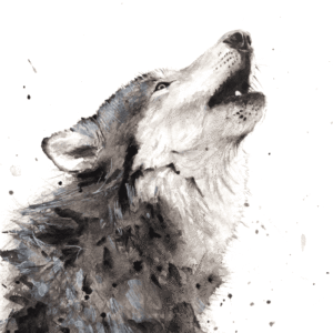 Tête de loup hurlant peinte à l'aquarelle très lumineuse avec des éclaboussures de peinture qui donne du dynamisme